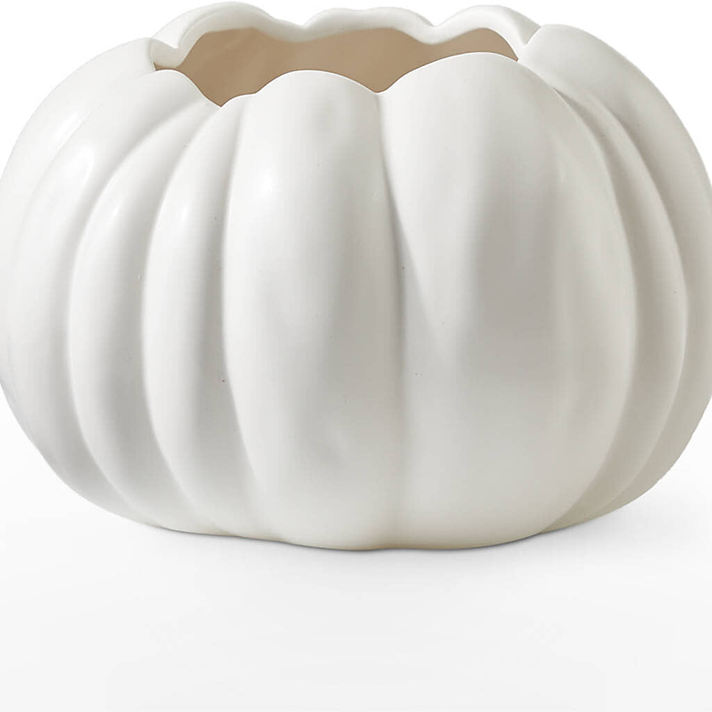 Autumn Air Pumpkin Bouquet –  Super Savers, Lincoln NE